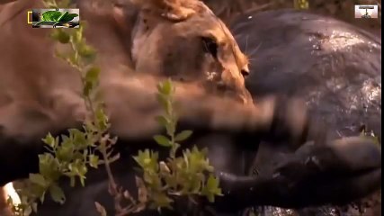 Travel Vietnam  GoPro Hero  Black  ACBD (65)