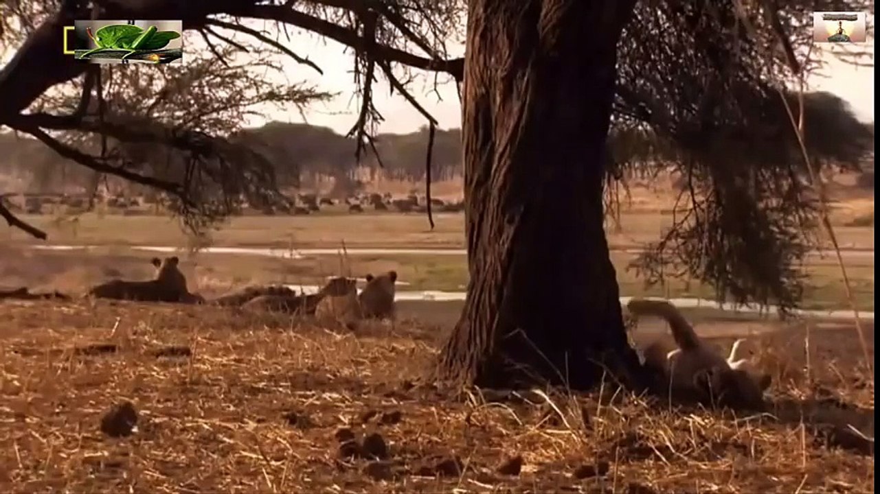 Travel Vietnam  GoPro Hero  Black  ACBD (71)