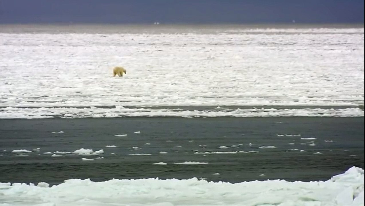 Learning Colors with Street Vehicles - Learn Colours Cars & Trucks, Hot Wheels, (11)