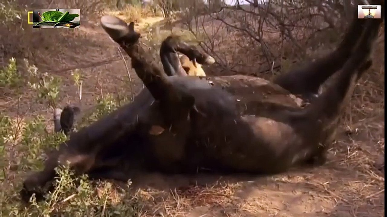 Travel Vietnam  GoPro Hero  Black  ACBD (78)