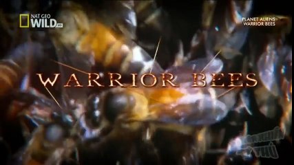 New Best Club Dance Music Mashups Remixes Mix 2016 News (41)