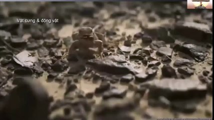 Logitech Webcam Comparison (62)