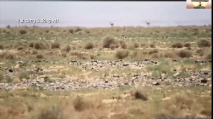 Logitech Webcam Comparison (63)