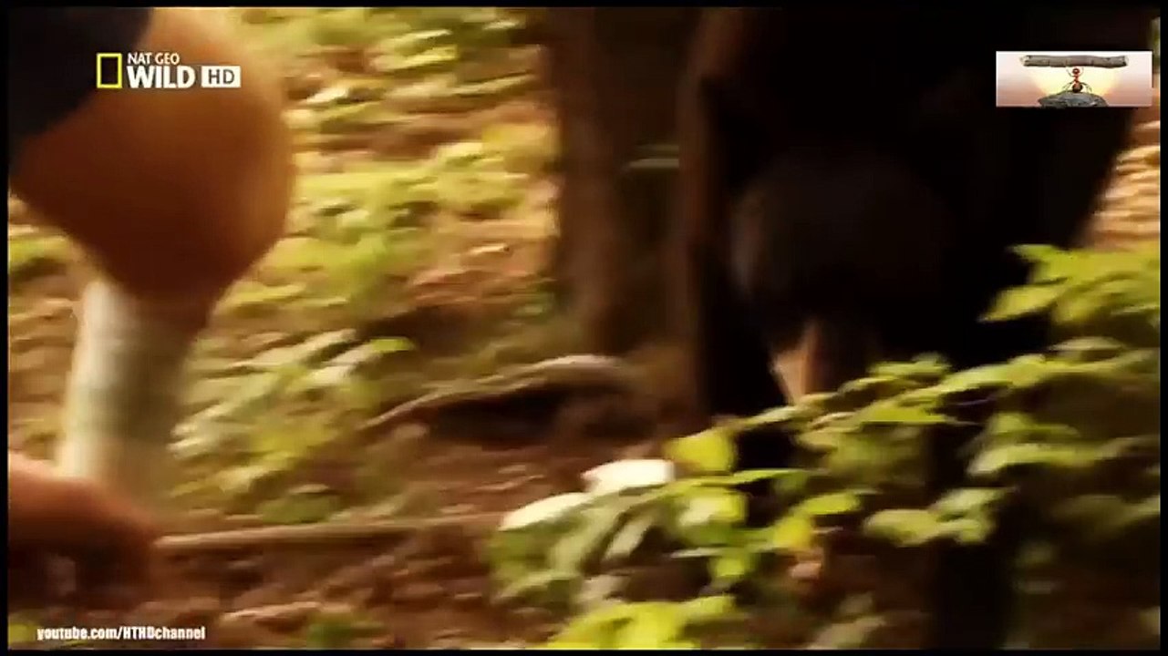 Learning Colors with Street Vehicles - Learn Colours Cars & Trucks, Hot Wheels, (27)