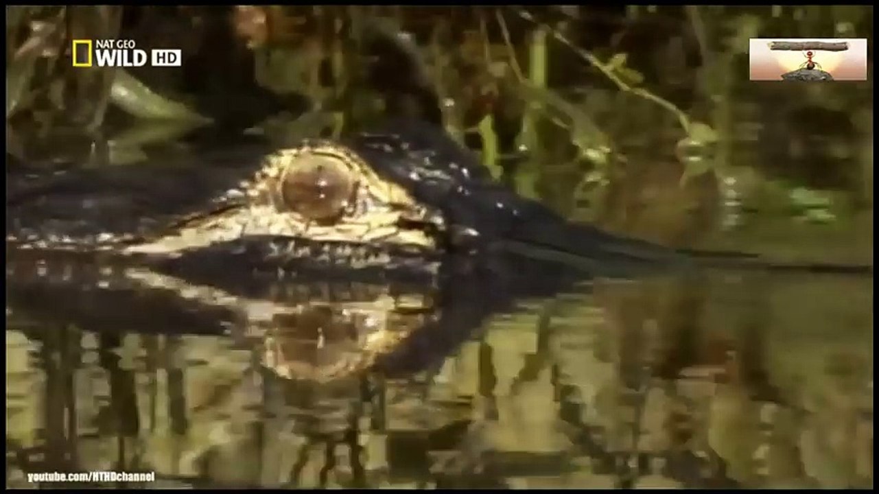 Learning Colors with Street Vehicles - Learn Colours Cars & Trucks, Hot Wheels, (29)