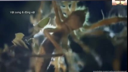 Logitech Webcam Comparison (68)