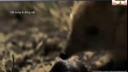 Logitech Webcam Comparison (72)