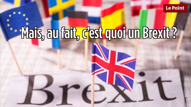 Julien Randoulet - Brexit explained in 1 minute