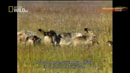 TSN - Top 10 'Video Game Moves' In Sports (4)