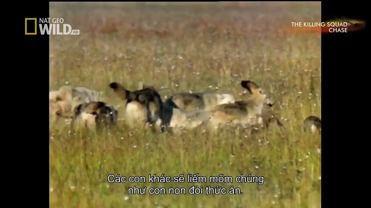 TSN - Top 10 'Video Game Moves' In Sports (4)