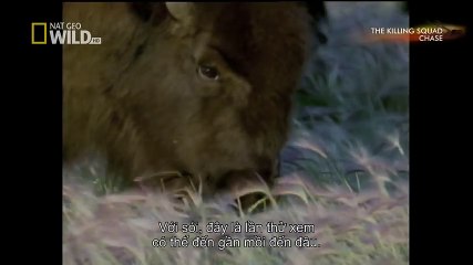 TSN - Top 10 'Video Game Moves' In Sports (7)