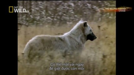 TSN - Top 10 'Video Game Moves' In Sports (8)