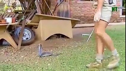 TSN - Top 10 'Video Game Moves' In Sports (11)