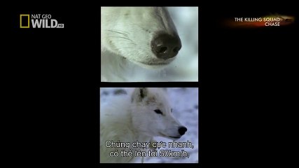 TSN - Top 10 'Video Game Moves' In Sports (48)