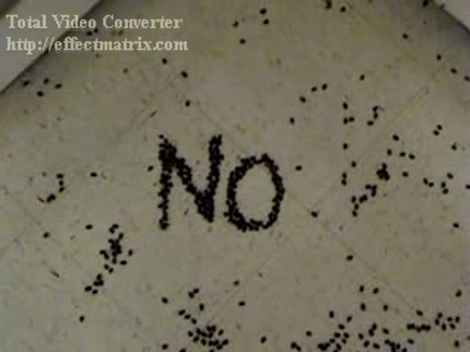 NO