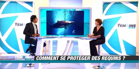 Comment se protéger des requins ? - LTOM