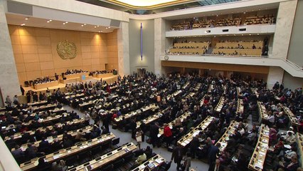 OMS: crisis del zika se debe a abandono de control antimosquitos