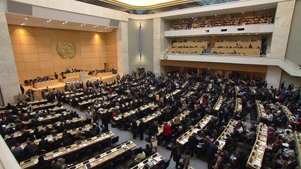 ‘Zika é resultado de políticas de controle de mosquito'