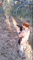 5yr old shooting Smith and Wesson M&P .22