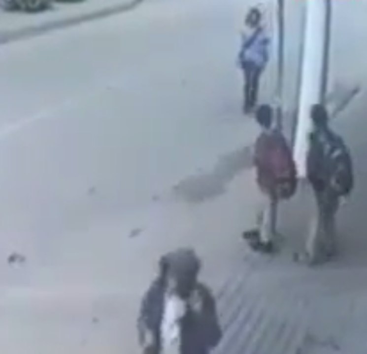 Por los pelos