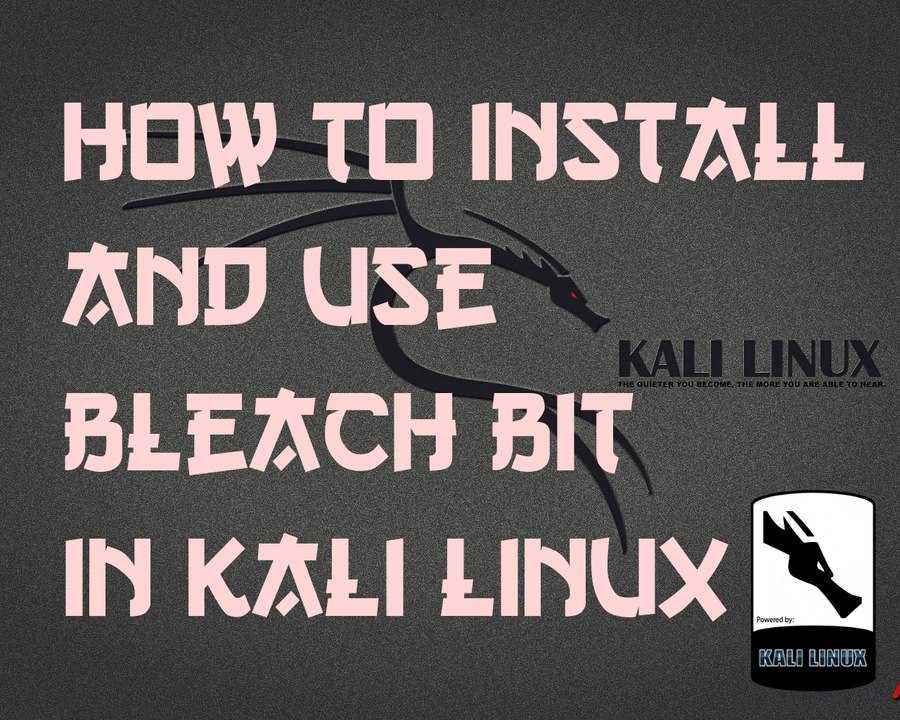 How to install and use Bleach bit in Kali Linux