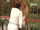 Va a trovare il leone che aveva cresciuto e questa è la reazione dell'animale...