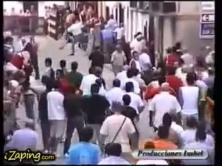 Un toro in mezzo alla folla riconosce l'uomo che lo accudiva.