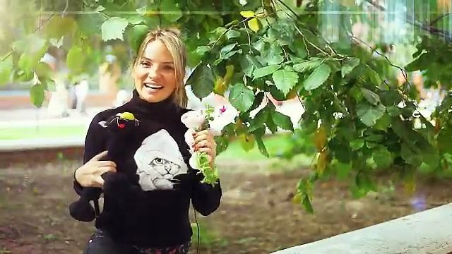 15 сентября Создали гринпис. Что это? Открыли первую железную дорогу.