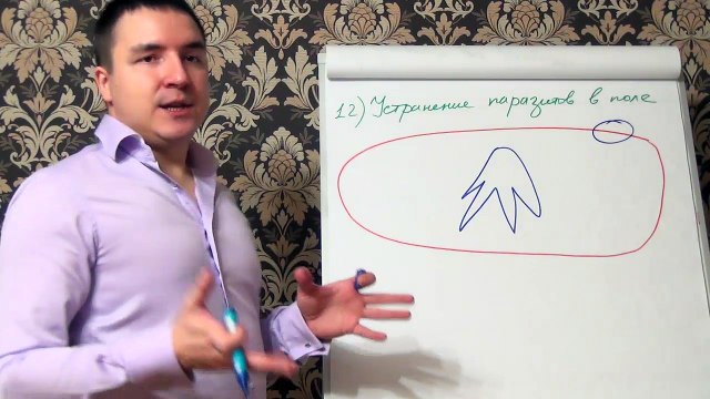 Евгений Грин — Устранение паразитов в поле