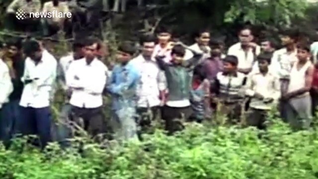 Rogue leopard caught and killed after terrorising villagers for a month