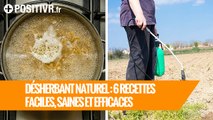 Désherbant naturel : 6 recettes faciles, saines et efficaces