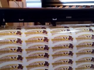 Impression et Découpe  Dx5 et DX 7