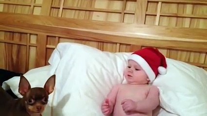 Adorable Santa baby laughs at barking dog