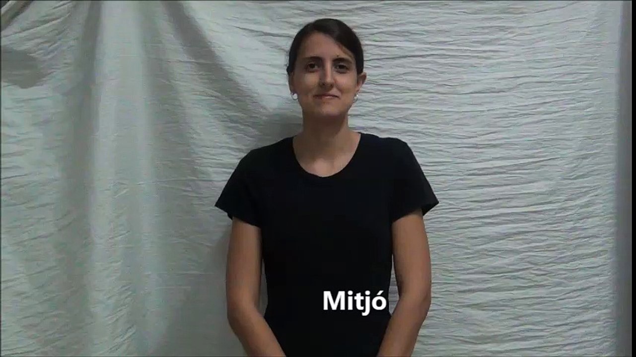 Mitjó - Sock