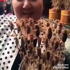 Scorpions On a Stick Make a Good Snack -By Funny & Amazing Videos Follow US!!!!!!!!