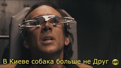 В Киеве собака больше не Друг - 74Kran