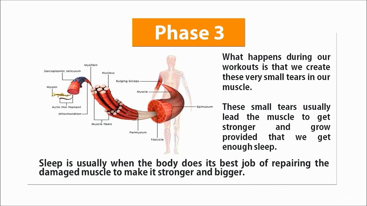 017 Why Sleep Is So Crucial