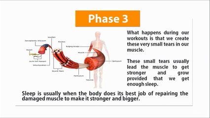 017 Why Sleep Is So Crucial