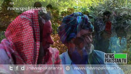 New Face of Thar (Short Documentary English Version)