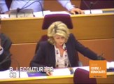 Défense des amendements sur la lutte contre les addictions au lycée par Béatrice Lecouturier - séance du 19 mai 2016