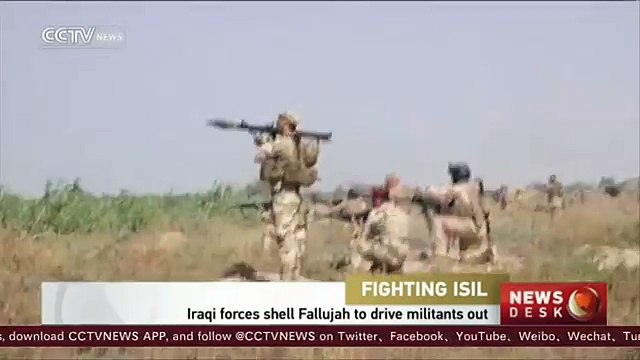 Iraqi forces shell Fallujah to drive ISIL militants out