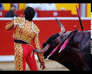 Most amazing and-interesting-things-in-the-world must watch this