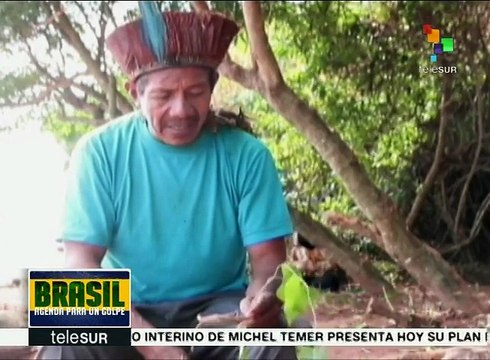 Denuncian que Monsanto viola tierras de pueblos originarios de Brasil