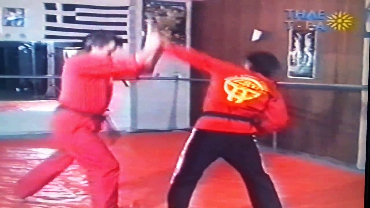 Costas  Liacopoulos - Self defense techniques!