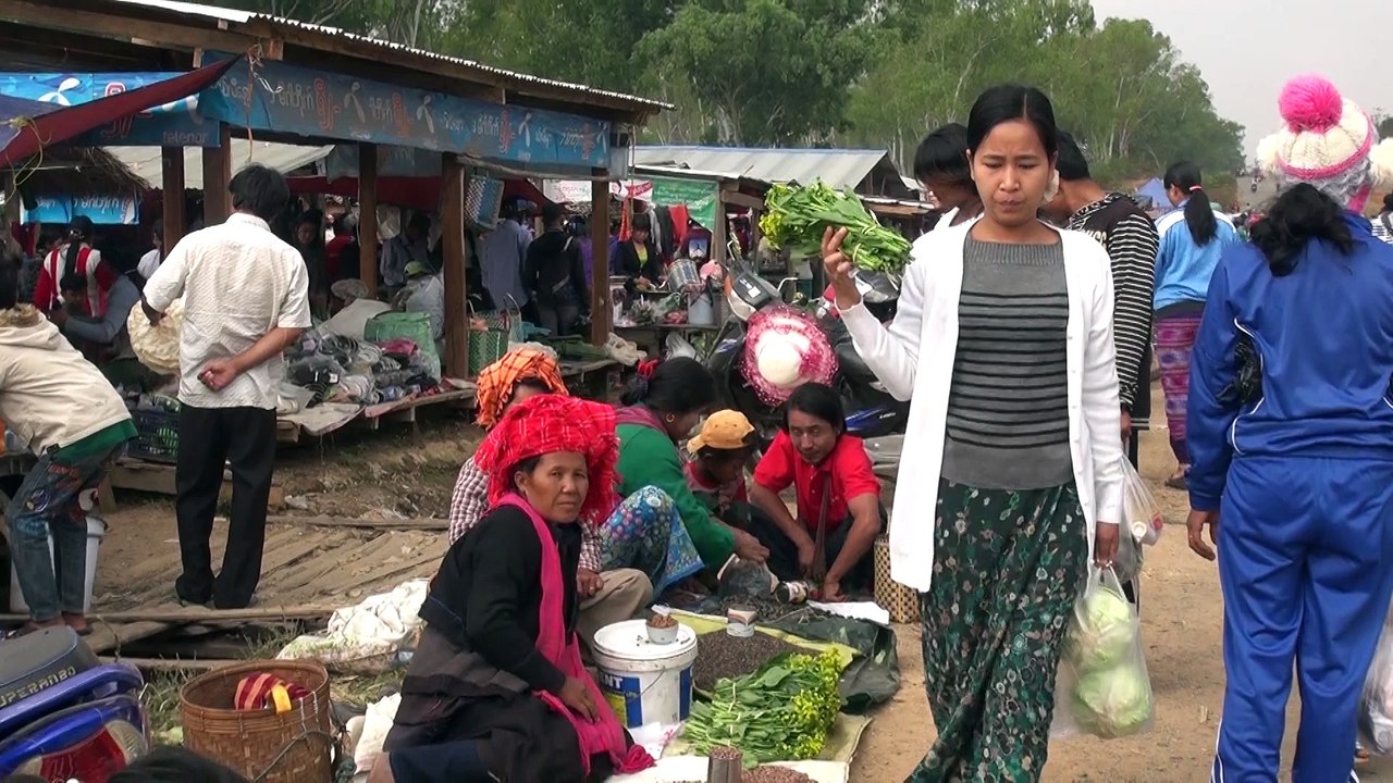 FirstSteps in Kayah - Teaser