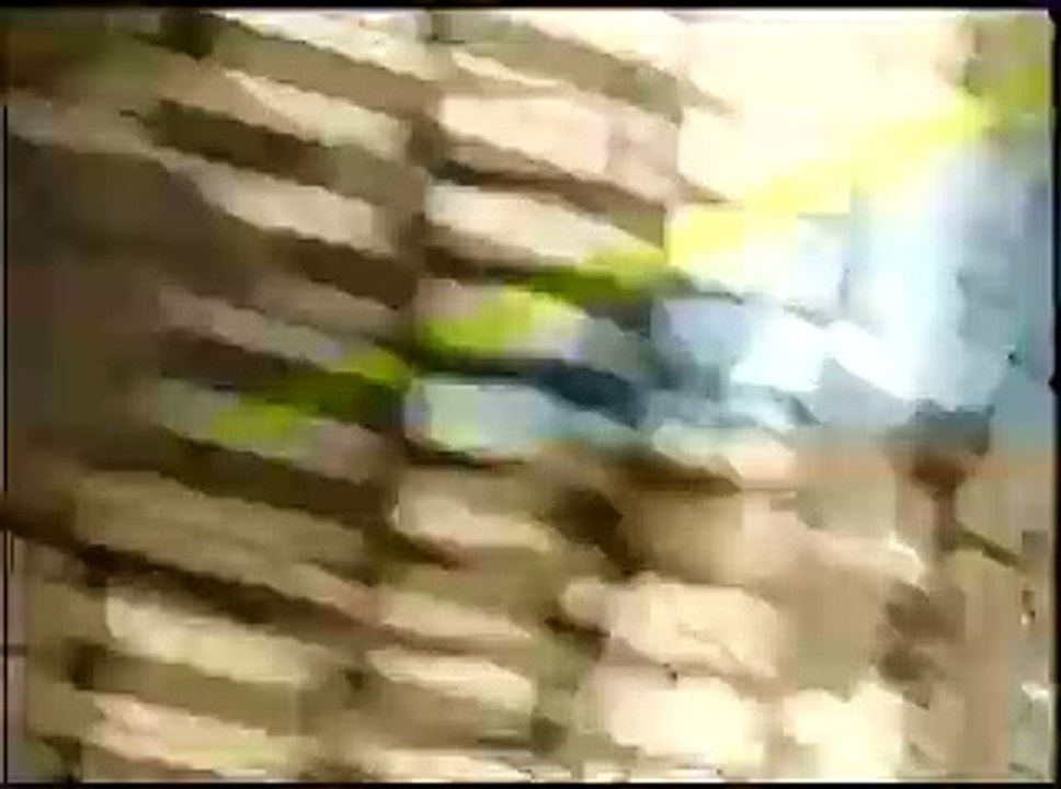 Aca Lukas - Kuda idu ljudi kao ja