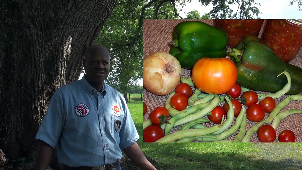 Sharecropper Life on a Plantation-HD