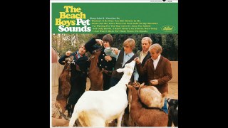 Brian Wilson on Pet Sounds 50th Anniversary-2016 Interview