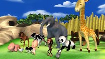 HD Best Urdu poems for kids  3D Animation Nursery Rhymes and kids Songs best Hindi poems for kids