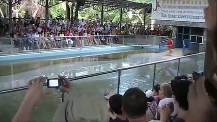 crocodile farm pattaya